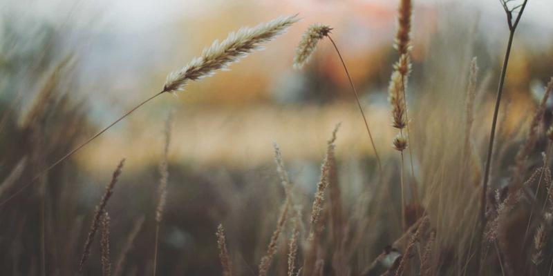 从被动合规到主动防御：企业合规与风险管理如何赋能市场营销与品牌策划