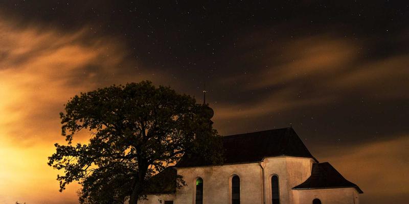 企业咨询如何破解库存与物流困局？西维克茨品牌设计赋能供应链管理