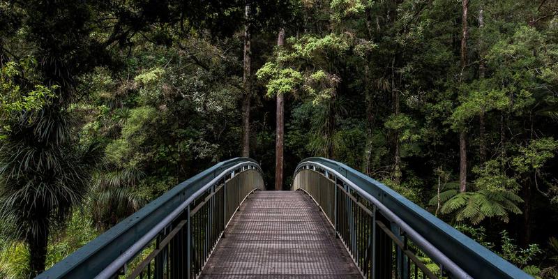 企业咨询如何赋能增长：战略规划与市场营销的双轮驱动