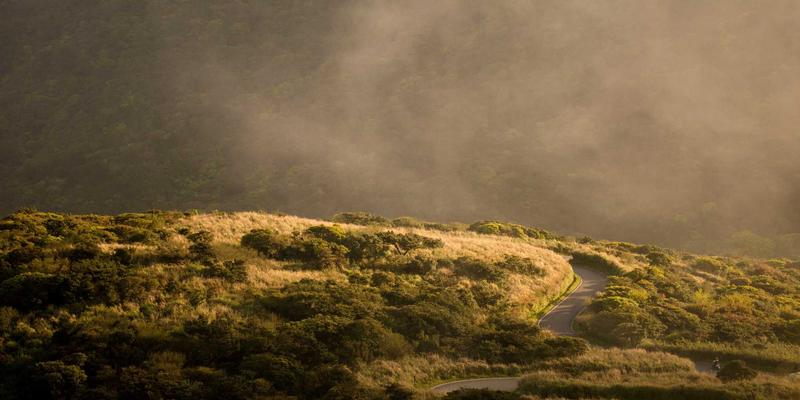 企业咨询如何驱动产品创新与产品线规划：品牌策划与设计的战略协同