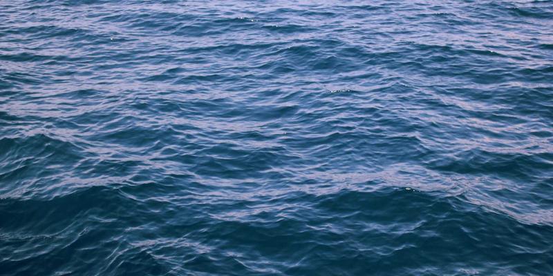 危机管理与公关策略：西维克茨企业咨询如何守护品牌声誉