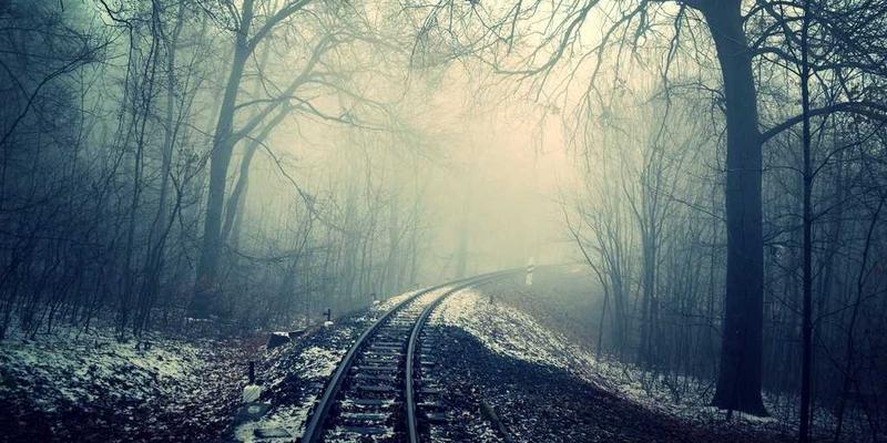 战略规划与品牌策划：咨询如何系统赋能本土企业海外市场进入