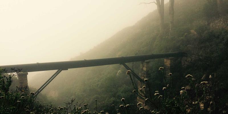 战略规划驱动远程团队高效管理：企业咨询视角下的工具、流程与文化构建