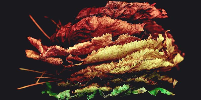 数据驱动决策：西维克茨咨询如何通过商业智能体系赋能市场营销与品牌策划