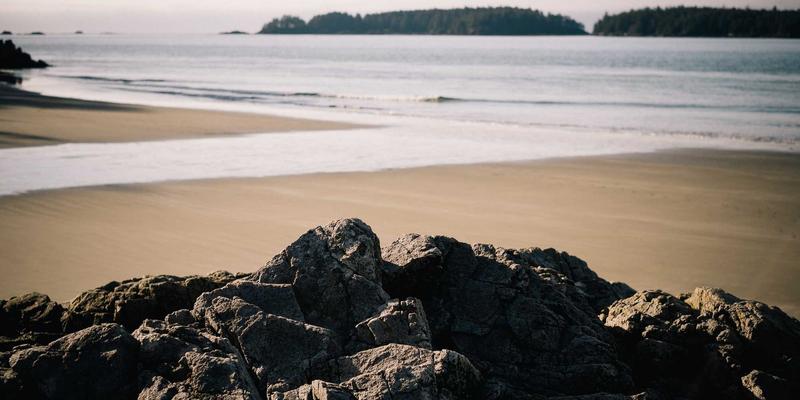 构建未来竞争力：供应链韧性咨询如何重塑品牌策划与市场营销战略