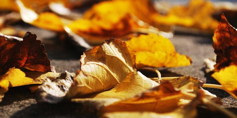 西维克茨 vs 传统品牌设计:战略规划如何重塑企业咨询的价值逻辑