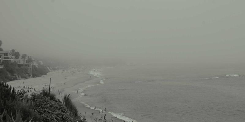 西维克茨企业咨询：品牌设计如何驱动商业价值增长