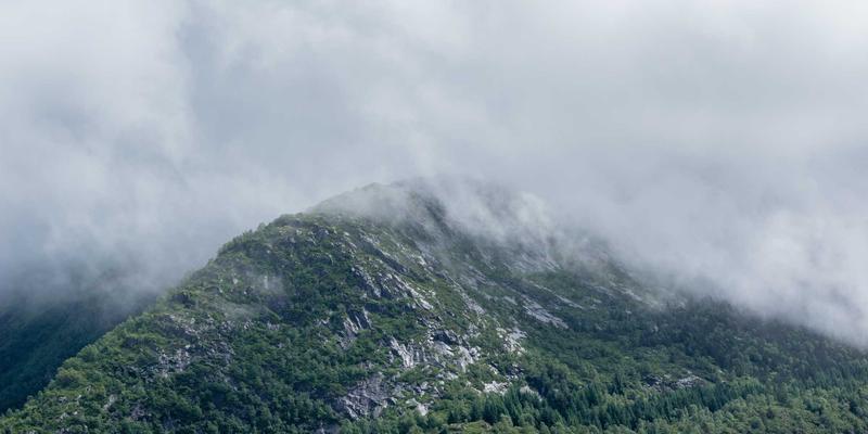 西维克茨咨询实战：如何通过组织架构优化提升市场营销效率