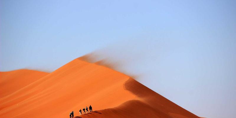 西维克茨品牌策划：构建企业知识管理与内部学习体系，赋能市场营销新增长