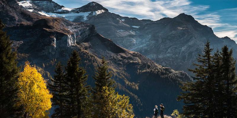 西维克茨战略规划与市场营销：驱动企业持续增长的双引擎
