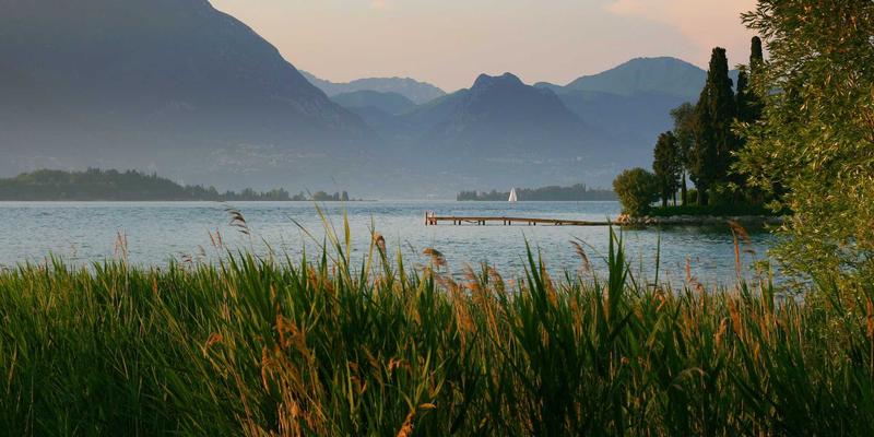 西维克茨方法论：如何通过战略规划重塑企业市场营销竞争力