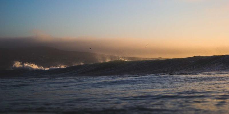 西维克茨策略：通过品牌策划与市场营销实现成本控制与精益运营