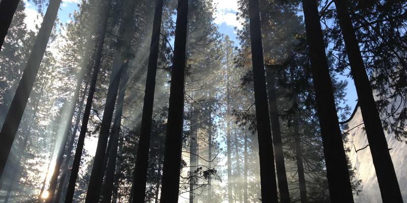 远程与混合办公新常态下，如何通过品牌策划与市场营销提升组织效能？